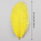 12 Pcs  Natural Black Ostrich Feather 10 -12  Inch Feathers For Craft Decoration