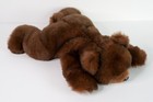 Ty Paws Bear 1996 18  Plush No Ear Tag