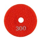4 Inch Flexible Polishing Pads For Granite Concrete Marble Restoration