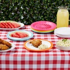 Plastic Paper Plate Holders  Picnic Supplies  4 Colors  10 In  20 Pack 