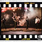 Queen Ii  set Of 4  Statues Knucklebonz Rock Iconz - Only 3 000 Made 