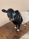 Vintage Beswick Belted Galloway  Cow Figurine