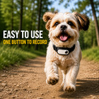 Pet Collar Camera 1080p Dog Cat Pov Cam No Wifi Sd Card Recording