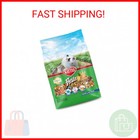 Kaytee Fiesta Mouse   Rat Food  Nutritious And Fun Blend  Supports Dental Health