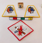 1990-1997 Awana Patches Pins Ribbons Cubbies Sparks Warrior Brave Choose Set lot