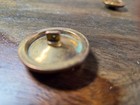 Antique Brass Button Art Nouveau Style Horse    1 1 8 