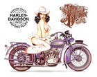 Harley Davidson Motorcycle Vintage Reproductions  multiple  On 8x10 In Aluminum