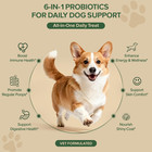 Probiotics For Dogs - Dog Probiotics For Yeast  Itchy Skin And Itchy Ears  Diges