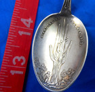 Arizona 5  Phoenix Giant Cactus Indian Antique Sterling Silver Souvenir Spoon