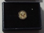 Us State Department Diplomatic Security Services Lapel Pin-dss-free Shipping Us