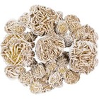 Desert Rose Selenite Flower 