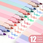12pcs Bible Highlighters  Bible Highlighters No Bleed  Pastel Highlighter Set 