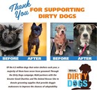 Wahl Professional Pet Clippers Dog Grooming Kit Heavy Duty Trimmer Thick Hair Us