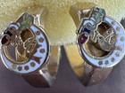 Odd Fellows Daughters Of Rebekah Earrings And Lapel Pin no Backs   Age Unknown