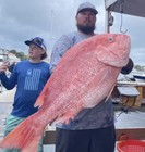 Dexter Russell 10  Stainless Steel Cake Frosting Spatula  17453  fast Ship