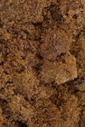 India Tree Dark Muscovado Sugar  1 Pound Choose Your Pack