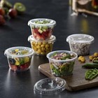 4 Oz Plastic Clear Disposable Portion Cups With Lids For Sauce Cup Bpa Free