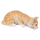 Orange Tabby Cat Looking Over Ledge Garden Statue Garden Decor Home Ornament