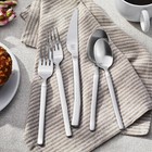 Zwilling Premier Series Satin Opus 45-piece Stainless Steel Flatware Set - Made