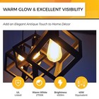  Edison Bulbs 40 Watt Led Dimmable  E26 Led Bulb 2700k 12 Pack Warm White 2700k