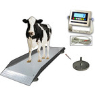 Selleton Sl-929 Livestock   Cattle Alleyway Scale 5000 Lbs X 1 Lb