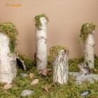 Niteangel 5l Forest Moss Soft Natural Bedding Nesting For Dwarf