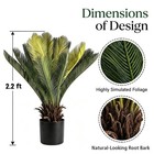 2 Pack 2 2ft Artificial Sago Palm Tree  Fake Cycad Plant For Home Garden Decor