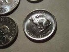 Rabbit  Coin Set 4 Coins  Unc Canada Africa Animal Coin Nice Starter Set Hare