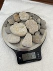 Michigan Petoskey Stone Lot 1 Pound Unpolished Natural Great Lakes Fossil Coral