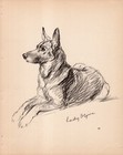 1940 Vintage German Shepherd Print Wall Art Decor Lucy Dawson Illustration 6840