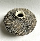 Incredible Anne Goldman Carved Art Pottery Vase