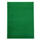 Koeckritz Economy Soft Bright Green Indoor outdoor Rug   Custom Size Patio  Deck
