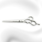 Japanese Hair Cutting Scissors 6 0  Offset Barber Salon Shears Professional