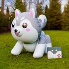 Loki The Inflatable Husky