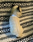 Vintage Applause Avanti Siamese Cat 1987 Stuffed Plush Kitty Toy