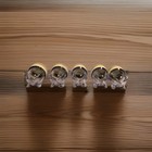 Baby Bullet Food Storage Container With Lids Date Ring Set Of 5 Replacement Jars
