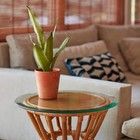 The Better Bevel 36  Round Glass Table Top - Tempered  Beveled Edge