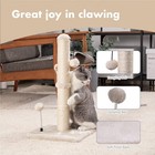 22in Cat Scratching Post With Sisal   Hanging Ball - Ideal For Kittens   Small C