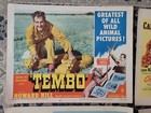 Rare Movie 1950 s Lobby Cards Tembo Scarlet Angel More