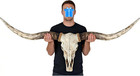 Longhorn Skull 71 8 Inches -longhorn Wall Decor realistic Retro Bull Cow Skull W