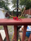 Vintage Brass French Hunting Horn 12 5in