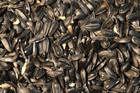 Black Oil Sunflower Seed Feed Wild Song Bird Food Microgreens Midwest Grown Usa 