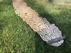 Rare Full Body Super Long 14 Foot Rock Python Snake Skin Shed Hide Vintage Real 