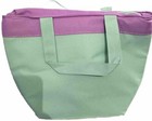 Disney Tinkerbell Fairies Insulated Child s Lunch Bag Green With Straps Fs