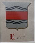 Rare Vintage 1887 Eliot Family Coat Of Arms Chromo Lithograph Matted 4