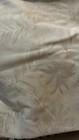 Surprise Variety Pack Bundle 5 Yards Fabric Mix Assortment Creams Beige Neutrals