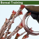 Bonsai Training Wire Set Of 4 - Total 128 Feet 32 Feet Each Size  3 Size - 1 0mm