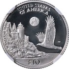 1998-w Platinum American Eagle  10 Ngc Pf70 Ultra Cameo Brown Label Stock