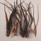 25 5-10  Nat Mix Whiting Grizzly Cree Rooster Saddle Feathers Hair Extensions