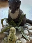 Border Fine Arts Otter Kit   Frog  Ayres Scotland Schmid Figurine